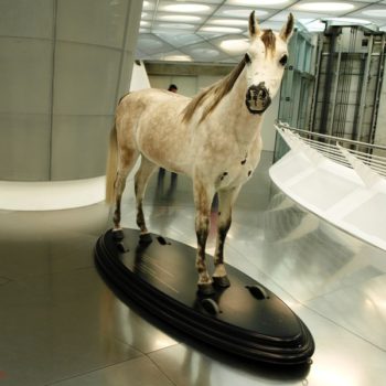 Visita al Museo Mercedes Benz Stuttgart.