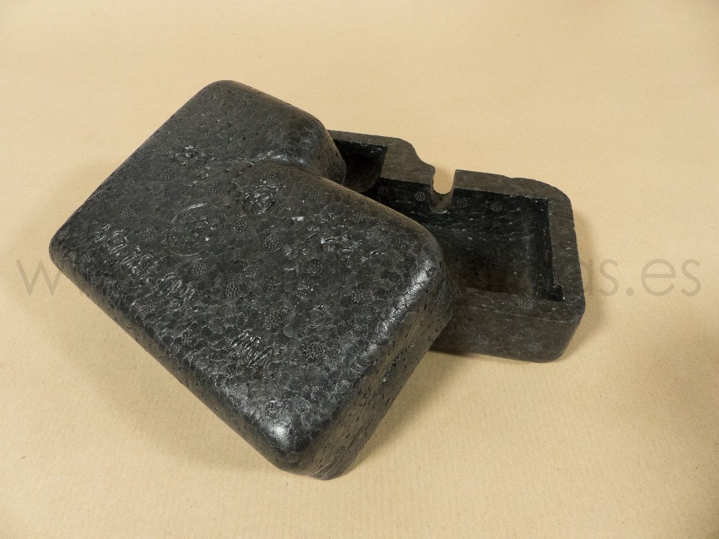 protección bomba de cierre centralizado